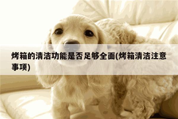 烤箱的清洁功能是否足够全面(烤箱清洁注意事项)