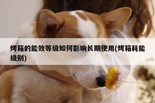 烤箱的能效等级如何影响长期使用(烤箱耗能级别)