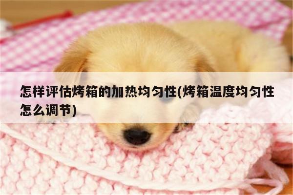 怎样评估烤箱的加热均匀性(烤箱温度均匀性怎么调节)