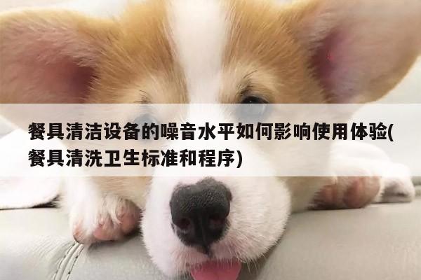 餐具清洁设备的噪音水平如何影响使用体验(餐具清洗卫生标准和程序)