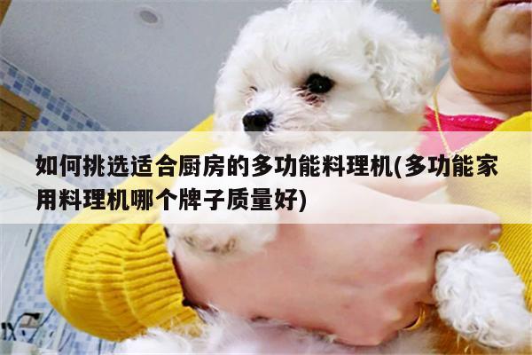 如何挑选适合厨房的多功能料理机(多功能家用料理机哪个牌子质量好)