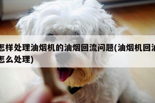 怎样处理油烟机的油烟回流问题(油烟机回油怎么处理)