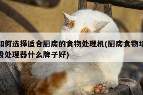 如何选择适合厨房的食物处理机(厨房食物垃圾处理器什么牌子好)