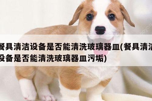 餐具清洁设备是否能清洗玻璃器皿(餐具清洁设备是否能清洗玻璃器皿污垢)