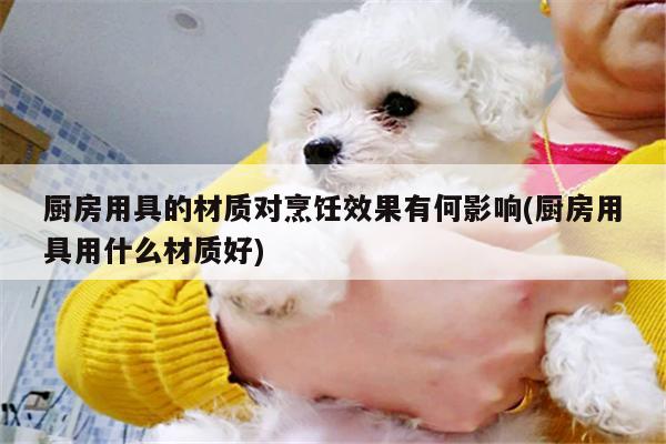 厨房用具的材质对烹饪效果有何影响(厨房用具用什么材质好)