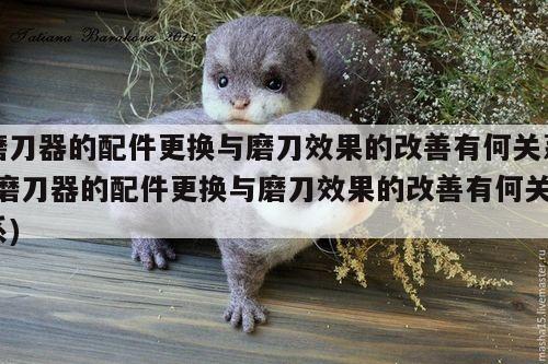 BBINGAMES官方网站：磨刀器的配件更换与磨刀效果的改善有何关系(磨刀器的配件更换与磨刀效果的改善有何关系)