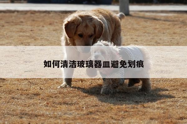 如何清洁玻璃器皿避免划痕