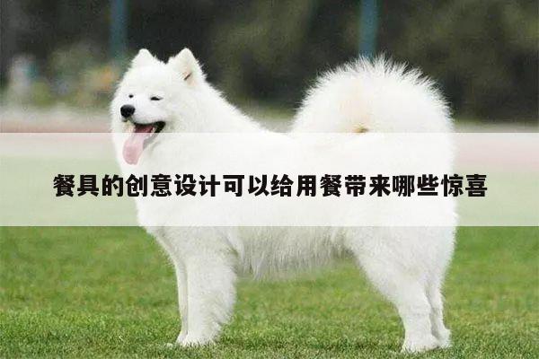 餐具的创意设计可以给用餐带来哪些惊喜