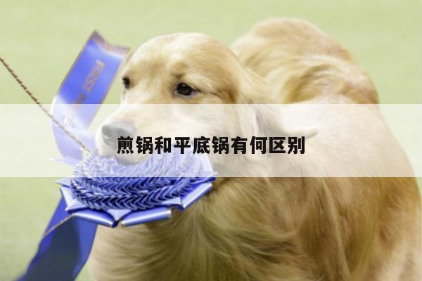 煎锅和平底锅有何区别